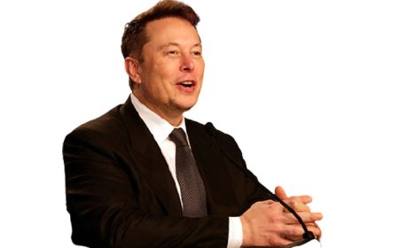 Tesla sales plunge 13% in Q1