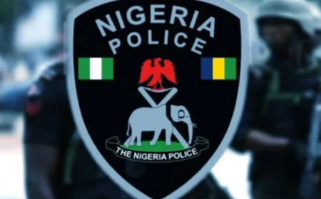 65-year-old retired policeman kills three, self over land dispute