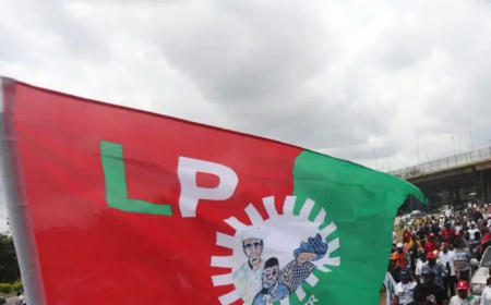 Leadership tussle: LP factions hail Supreme Court judgement, claim victory
