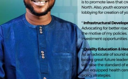 2027: Why I am eying Ogun Assembly Seat – Akinlawon