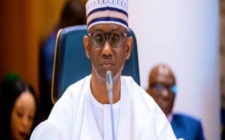 We’ll make kidnappers, their collaborators pay for their heinous crimes —NSA, Ribadu