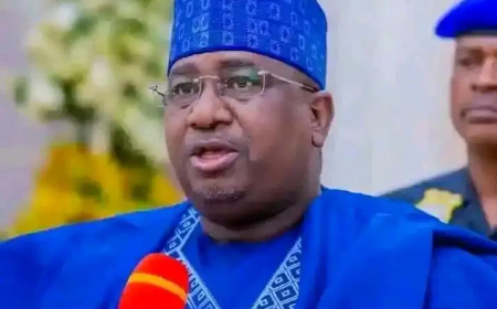 Why we‘re constructing 4 pry schools — Kebbi Govt