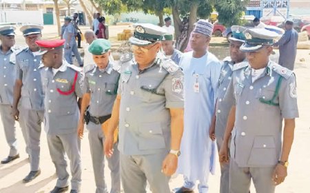 Customs’ crackdown on smugglers in Adamawa, Taraba nets N195.7m