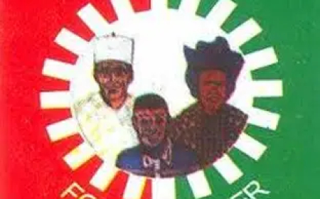 Enugu Lawmaker dumps Labour Party, says party in serious crisis