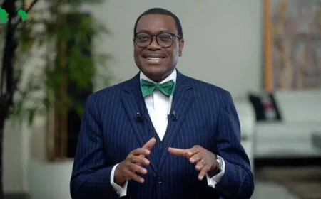 Kaduna first to launch Nigeria’s special Agro-Industrial processing zone  —  Adesina
