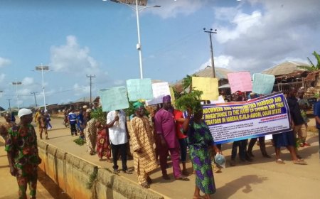 Ogun residents protest, allege Chinese company of forceful acquisition of land