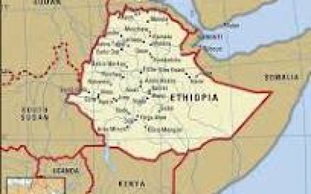 Seven journalists detained in Ethiopia over broadcast of rape allegation