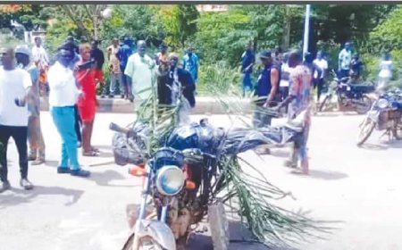 Ijaw protesters storm INEC over Warri constituency delineation