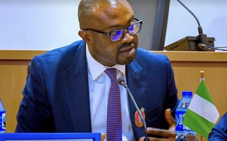 Visa overstayers to pay $15 fine daily, face up to five-year ban—FG