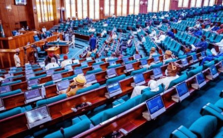 Exclusive: House bill to stop age restrictions in banking employment sparks concerns