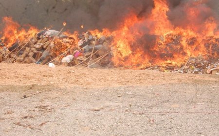 NDLEA destroys largest drugs seizure, warns barons