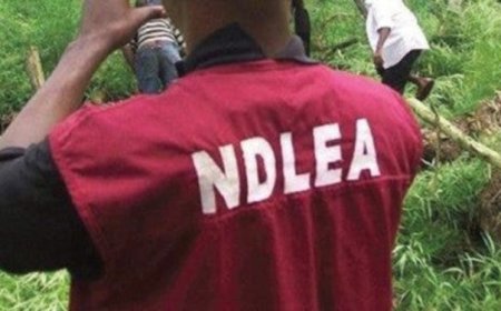 NDLEA nabs ex-convict with drugs hidden in speakers