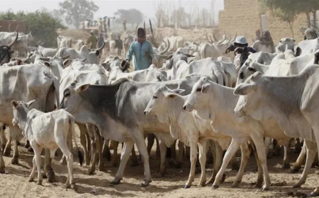 Herders protest alleged illegal detention of members