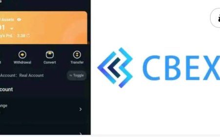 Security Expert Reveals How Much Was Stolen On CBEX, Speaks On Nigerians Recovering Funds