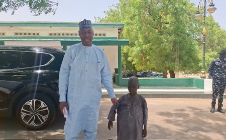 Gov. Zulum Orders Immediate Prosecution Of A Man In Viral Video Molesting Minor