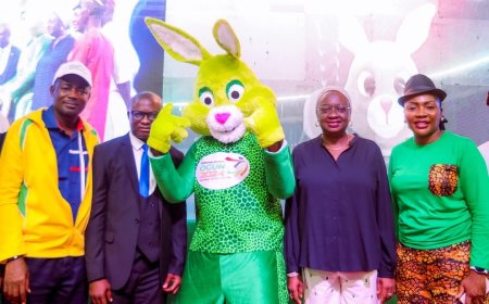Ogun Unveils Mascot, Logo, Theme Song For National Sports Festival