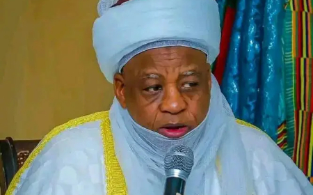 Social media is terrorist organisation, says Sultan of Sokoto