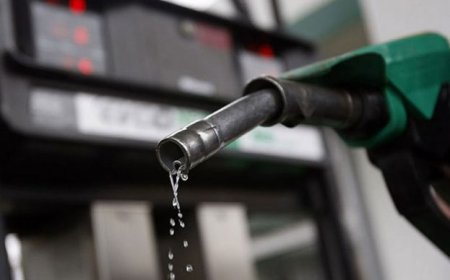 N800/litre petrol in sight as oil prices tumble