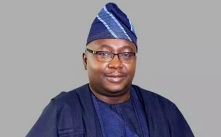 FG targets 8,000MW power generation by 2027