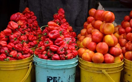 Rising prices of tomato, pepper squeeze consumers