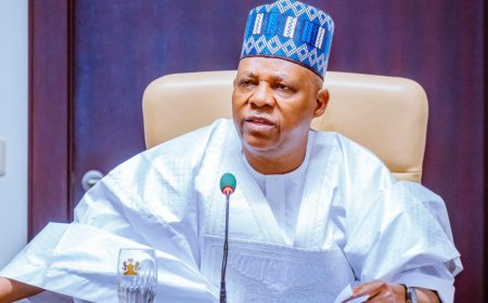 It’s mischievous,’ Presidency denies claim Shettima was barred from Aso Villa