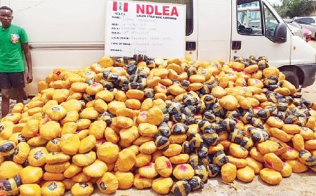 NDLEA nabs drug lord supplying bandits