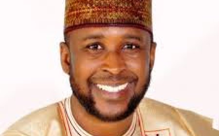Jigawa APC chieftains decry police brutality at state function
