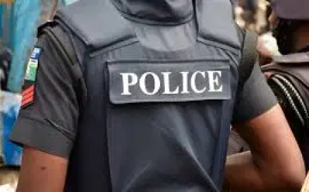 A’IBOM: Police arrest suspected child traffickers, rescue newborn baby
