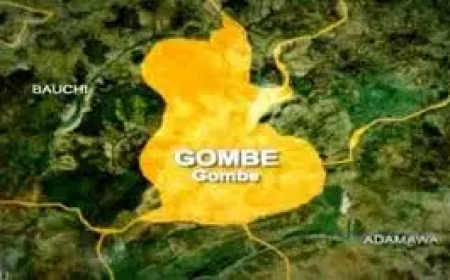 5 dead, 13 injured in Gombe Easter Monday auto crash