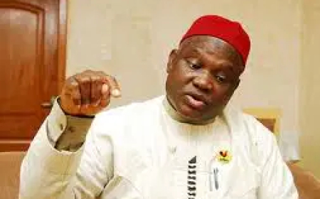 My worries about Anambra election — Chekwas Okorie