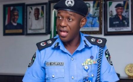 Niger command arrests fraudsters impersonating policemen