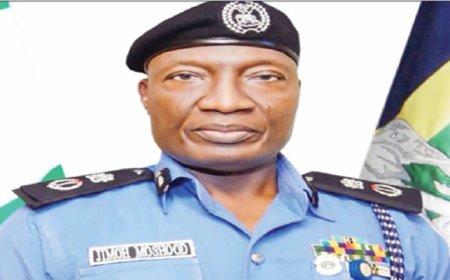 Quadri claimed he was 18, we didn’t know about the release order – Police
