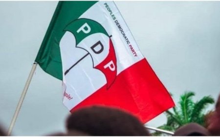 South-South PDP appoints caretaker committees for Bayelsa, Edo