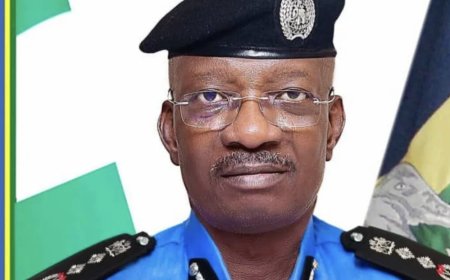 Egbetokun warns pubic against spreading falsehoods to discredit Police