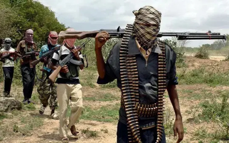 Council chairman escapes bandit attack in Sokoto village