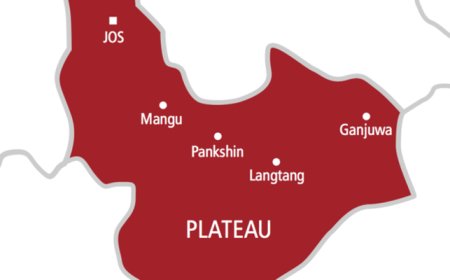Two killed, 20 farms destroyed in fresh Plateau attack