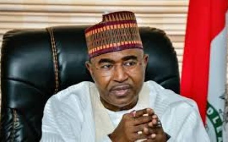 Extend drug test to office holders, aspirants, NANS tells NDLEA