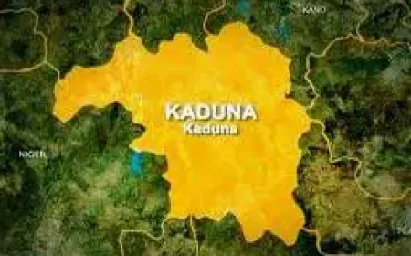Kidnapped Kaduna Catholic priest regains freedom