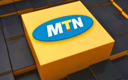MTN Group, Africa’s largest telecom company, suffers cyberattack