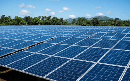 Assessing the implications of Nigeria’s ban on solar panel imports