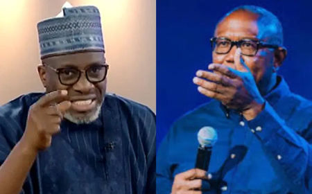 Stop demarketing Nigeria at international forums  —  Sowunmi advises Peter Obi