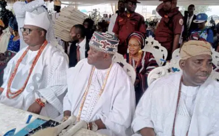 Alaafin pledges commitment to promotion of Yoruba heritage
