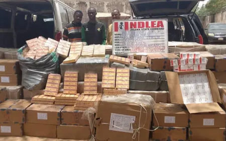 NDLEA recovers illicit drugs worth ₦1.042bn after Lagos hotel raid