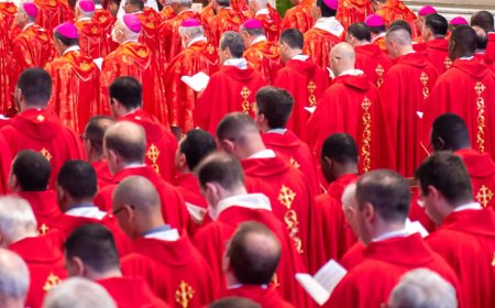 Cardinals gather to set date for Pope Francis successor’s election
