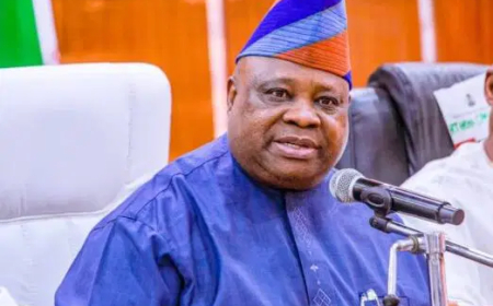 We stand with Adeleke, PDP – Osun cabinet members