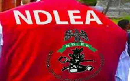 Fight against drug abuse, trafficking, collective effort – NDLEA