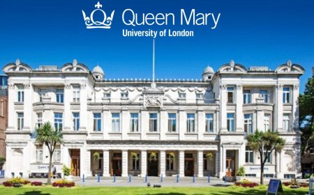 Queen Mary University of London Undergraduate Scholarship 2025 | Fully Funded