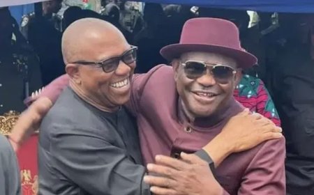 How Wike frustrated Peter Obi out of PDP  —  Dele Momodu