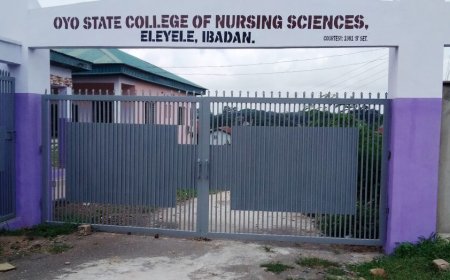 Oyo College of Nursing graduates 469 students