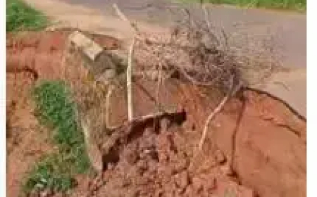 Lejja community urges Gov. Mbah to tackle erosion, fulfill road project promise